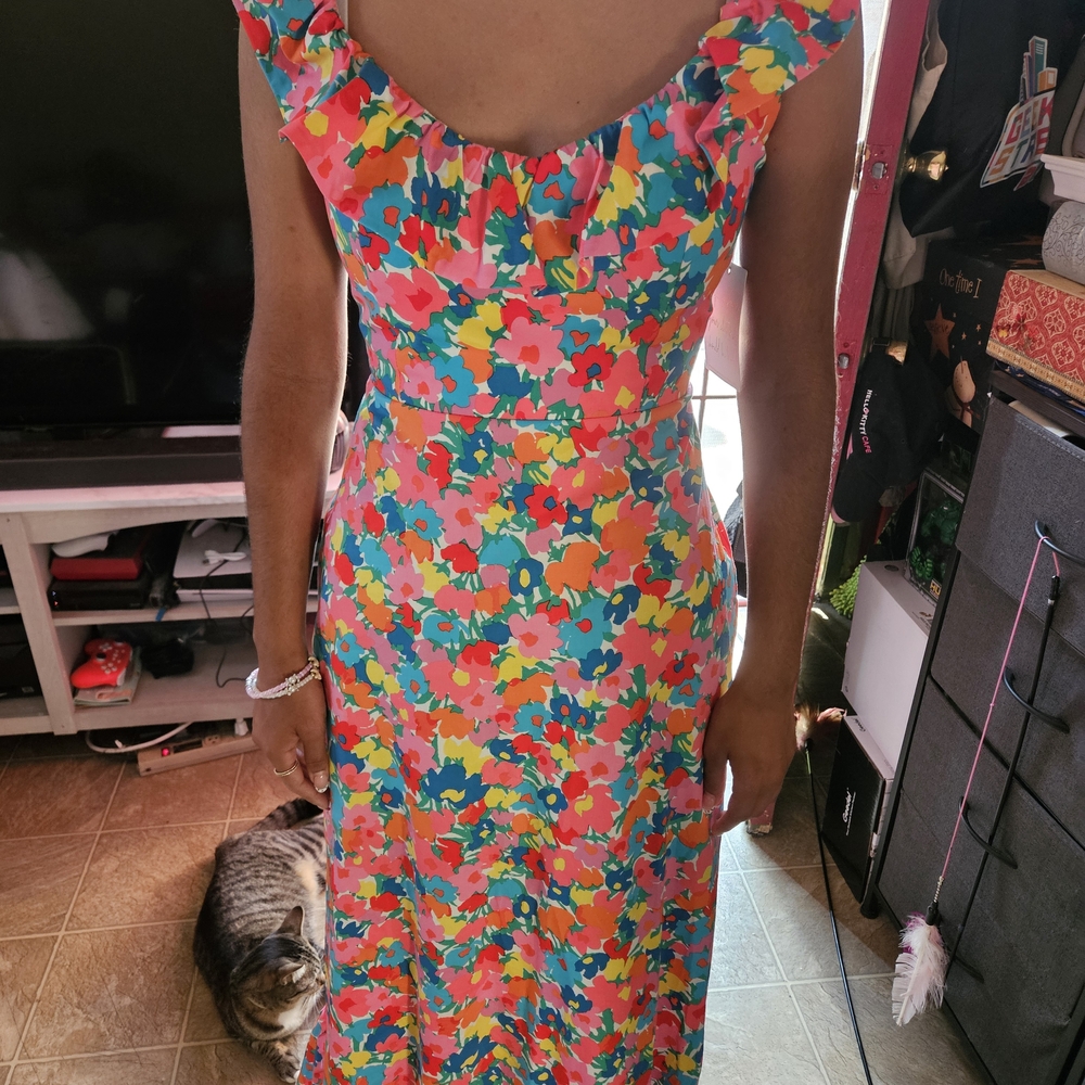 Show Me Your MuMu Colorful Floral Backless Dress